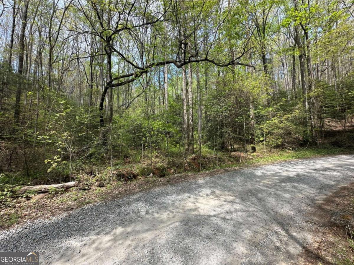 Lot 20 Big Ben Road, Unit 20 Ellijay, GA 30540 - Photo 4 of 8