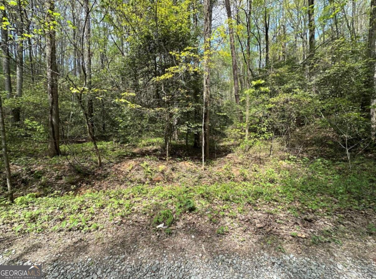 Lot 20 Big Ben Road, Unit 20 Ellijay, GA 30540 - Photo 5 of 8