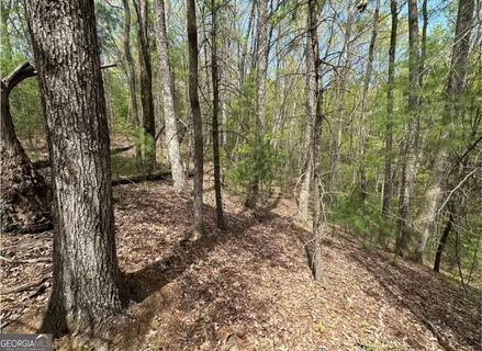 $50,000 | Lot 20 Big Ben Road, Unit 20, Ellijay, GA 30540