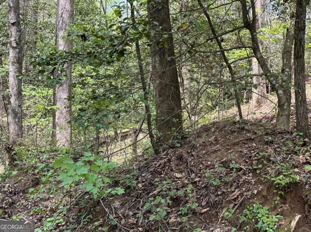 Lot 20 Big Ben Road, Unit 20 Ellijay, GA 30540 - Photo 7 of 8