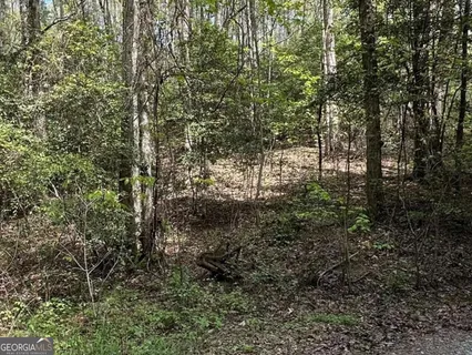 $50,000 | Lot 20 Big Ben Road, Unit 20, Ellijay, GA 30540