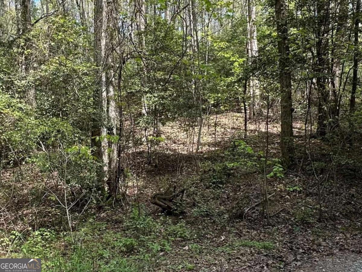 Lot 20 Big Ben Road, Unit 20 Ellijay, GA 30540 - Photo 8 of 8