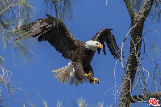 a close up of a wall in a