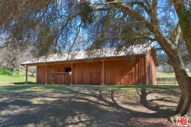 a view of a backyard with large trees and plants