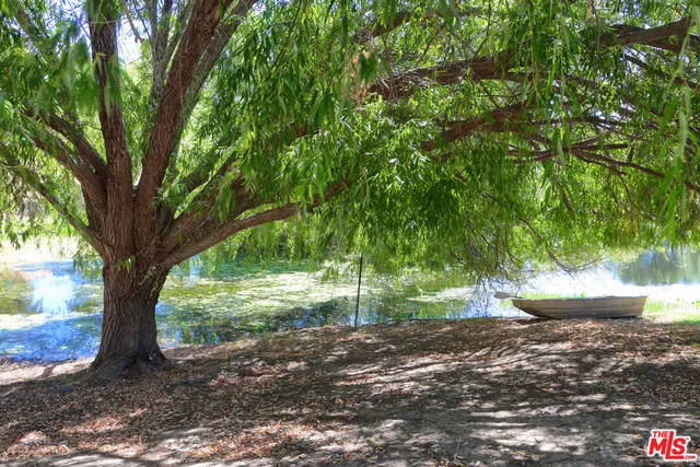 a view of a lake with a yard and large trees