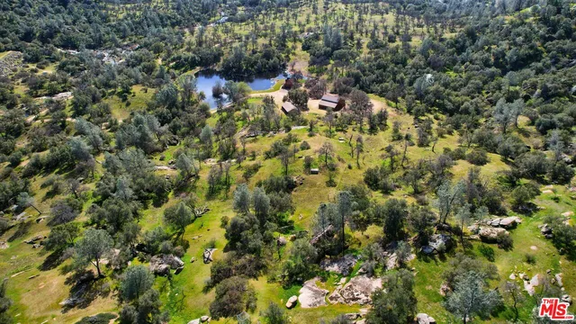 a view of a house with a lush green forest