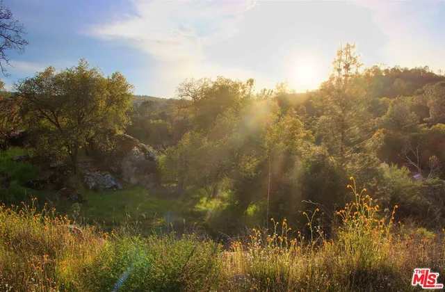 $8,500,000 | 41924 Patrick Avenue, Coarsegold, CA 93614