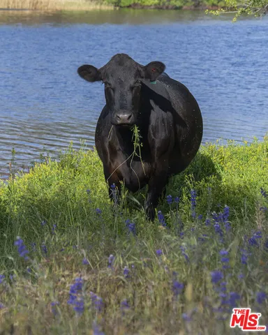 a view of a building with retail shops