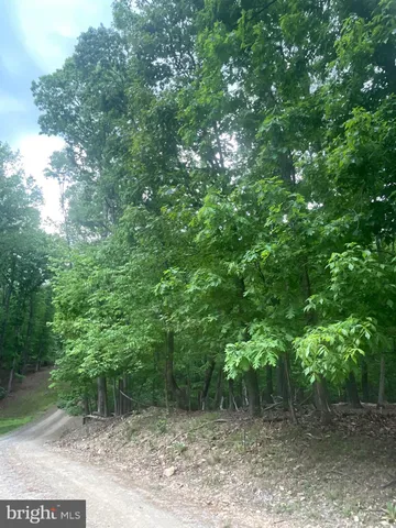 $15,000 | Lot 24 Maple Lane, Bluemont, VA 20135
