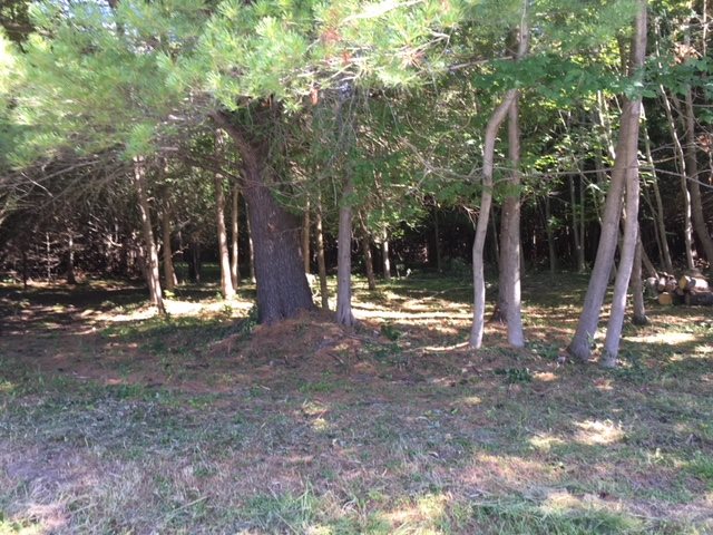 0 Richardson Road, Unit 1 Barre, VT 05641 - Photo 1 of 1
