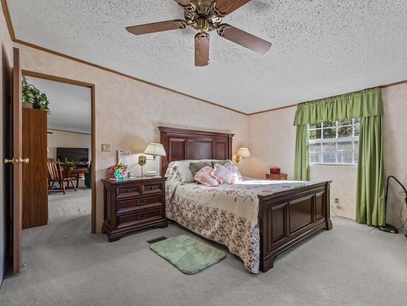 10 J R Milton Road Crawfordville, FL 32327 - Photo 8 of 35 Gallery Image 8