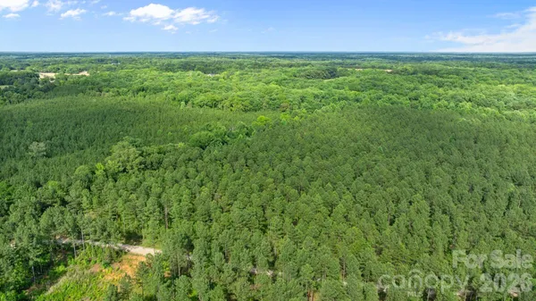 $155,000 | 0 Peacehaven Road, Unit 9, McConnells, SC 29726