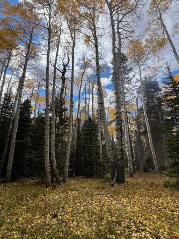 a view of outdoor space with trees