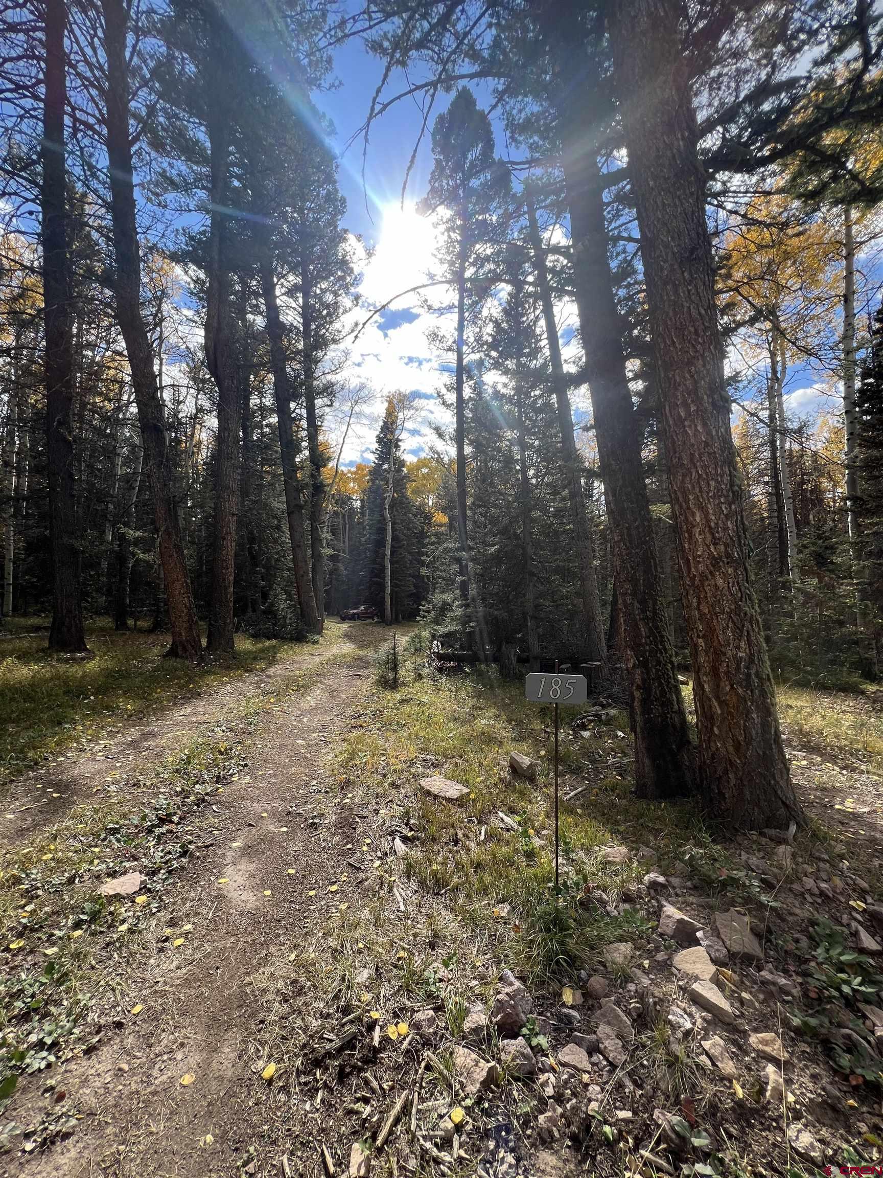 185 Aspen Trail Cimarron, CO 81220 - Photo 2 of 11 a view of a yard with trees