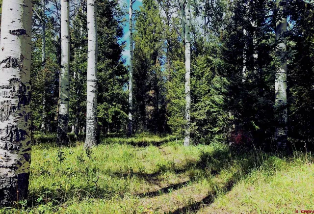 a view of outdoor space and a yard