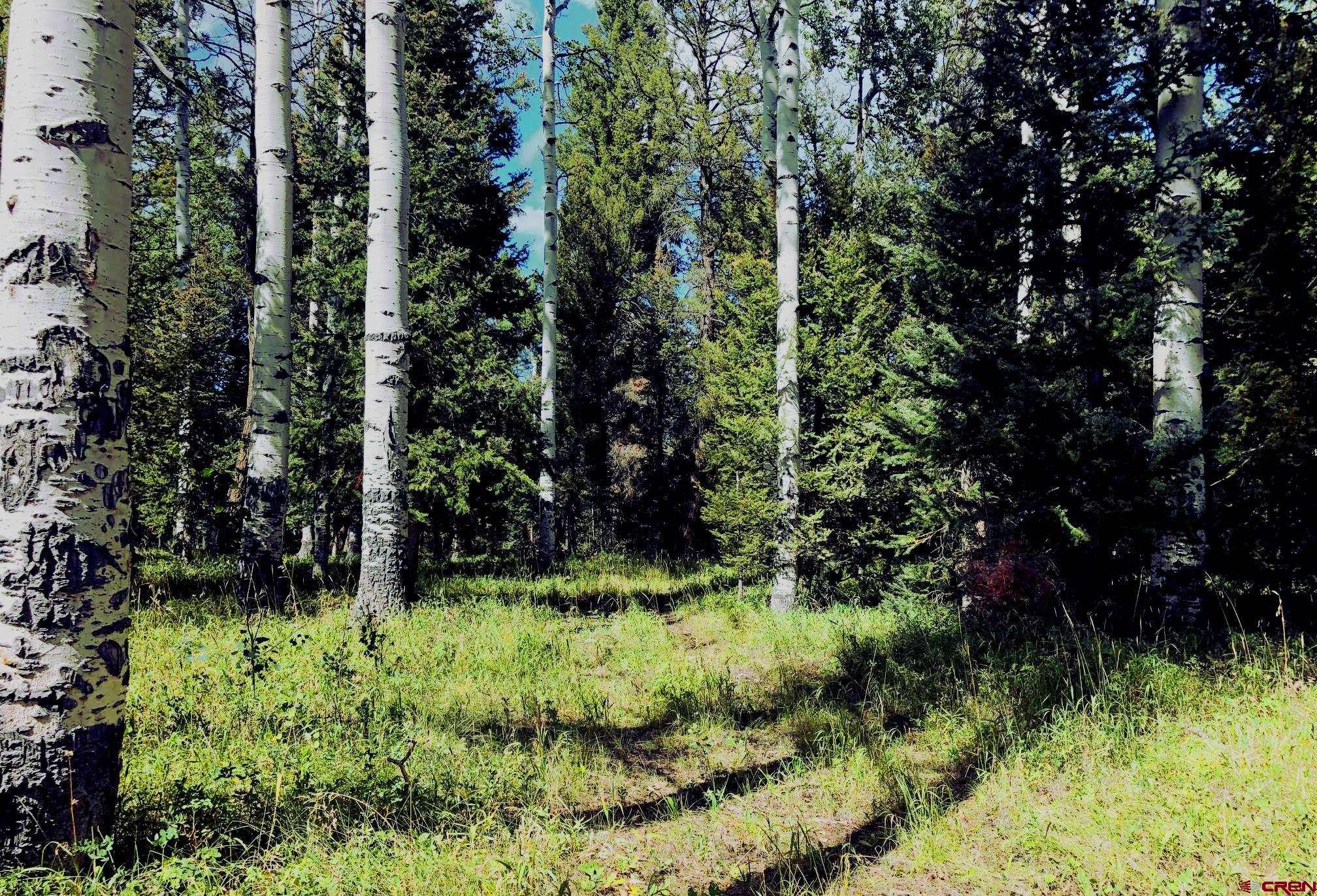 185 Aspen Trail Cimarron, CO 81220 - Photo 3 of 11 a view of outdoor space and a yard
