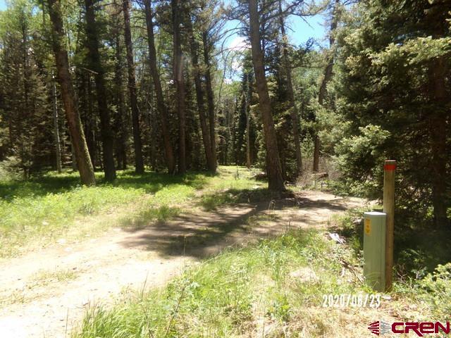 185 Aspen Trail Cimarron, CO 81220 - Photo 4 of 11 a view of yard