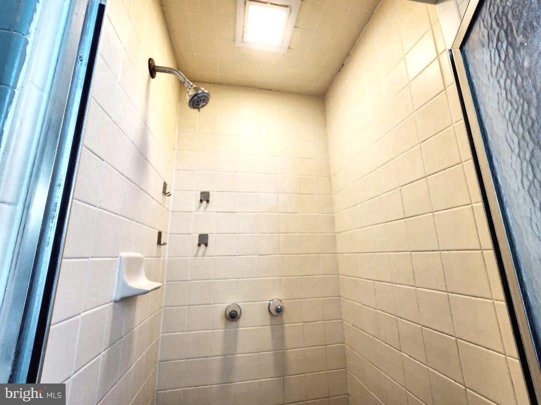515 Fourth Street Shenandoah, VA 22849 - Photo 29 of 69 a bathroom with a shower