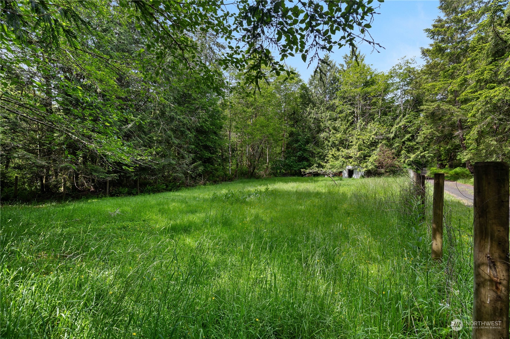 7342 Steamboat Island Road Northwest Olympia, WA 98502 - Photo 32 of 40 a view of green field with trees in the background