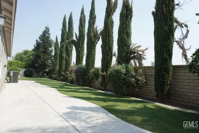 a view of a yard with plants