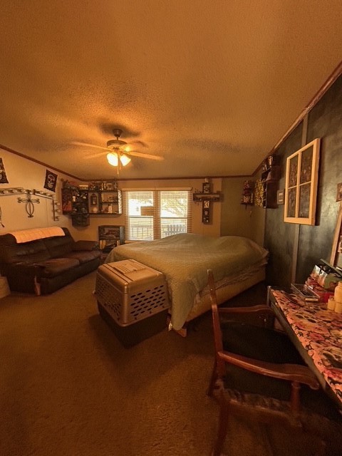 403 County Road 324 Alice, TX 78332 - Photo 16 of 39