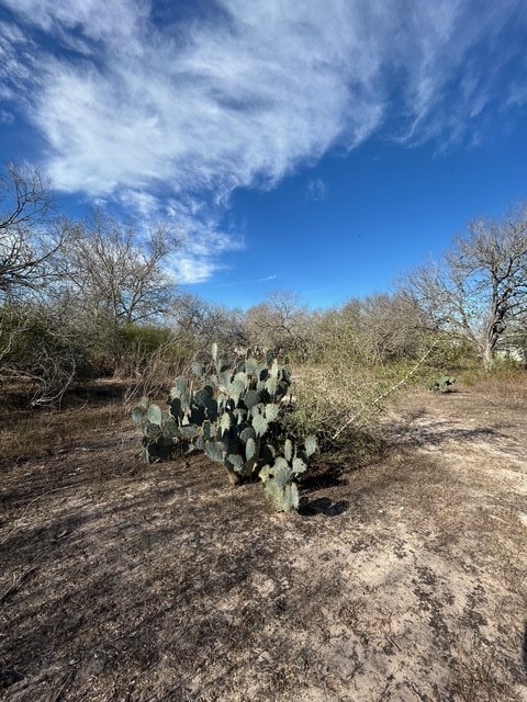 403 County Road 324 Alice, TX 78332 - Photo 27 of 39