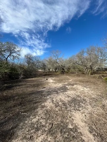 a view of a yard with an trees