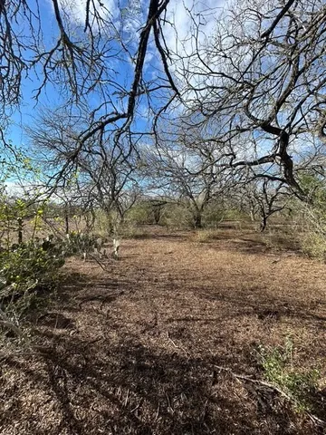 a view of yard covered with snow