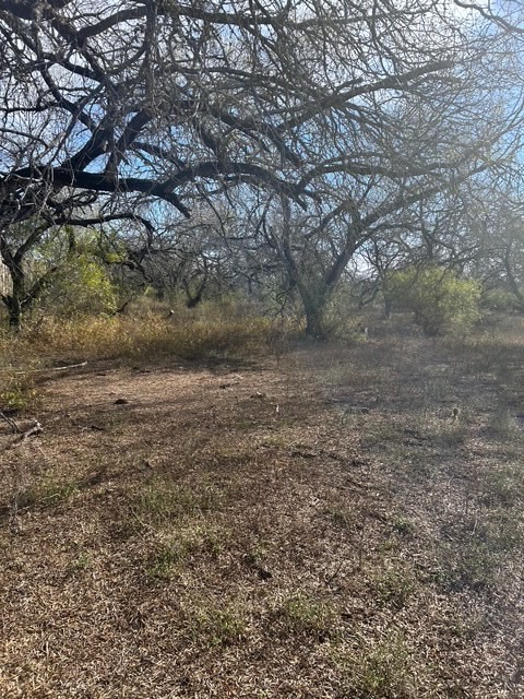 403 County Road 324 Alice, TX 78332 - Photo 33 of 39