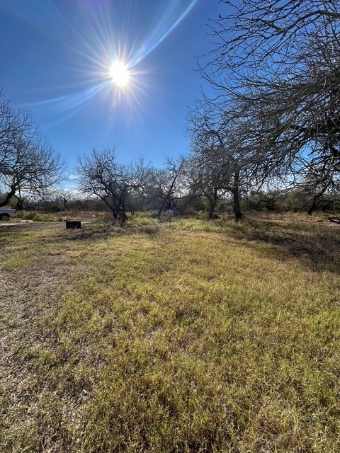 403 County Road 324 Alice, TX 78332 - Photo 37 of 39