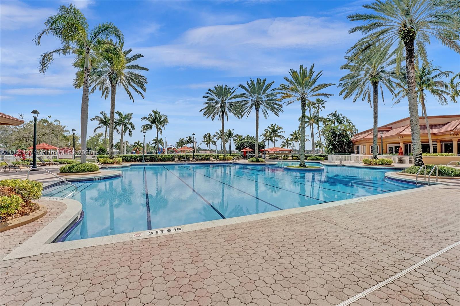 3360 Southwest 195th Terrace Miramar, FL 33029 - Photo 38 of 65 a view of swimming pool with palm trees