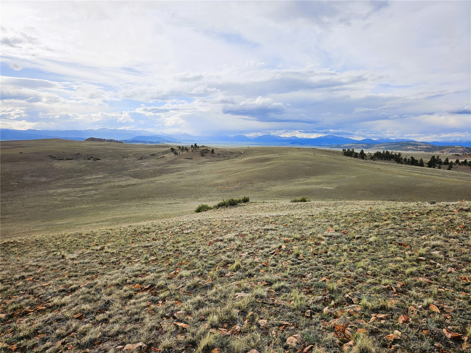Pcs#24139 Antero Road Hartsel, CO 80449 - Photo 20 of 41