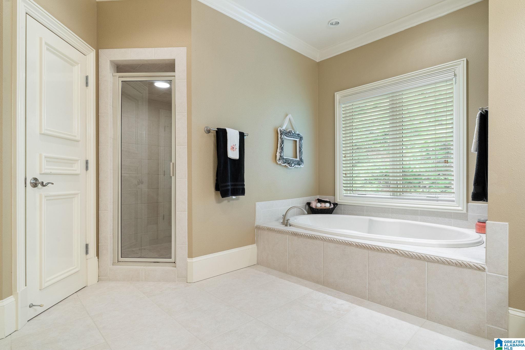 487 Spring Valley Drive Chelsea, AL 35043 - Photo 63 of 91