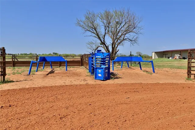 a view of a pathway of a yard