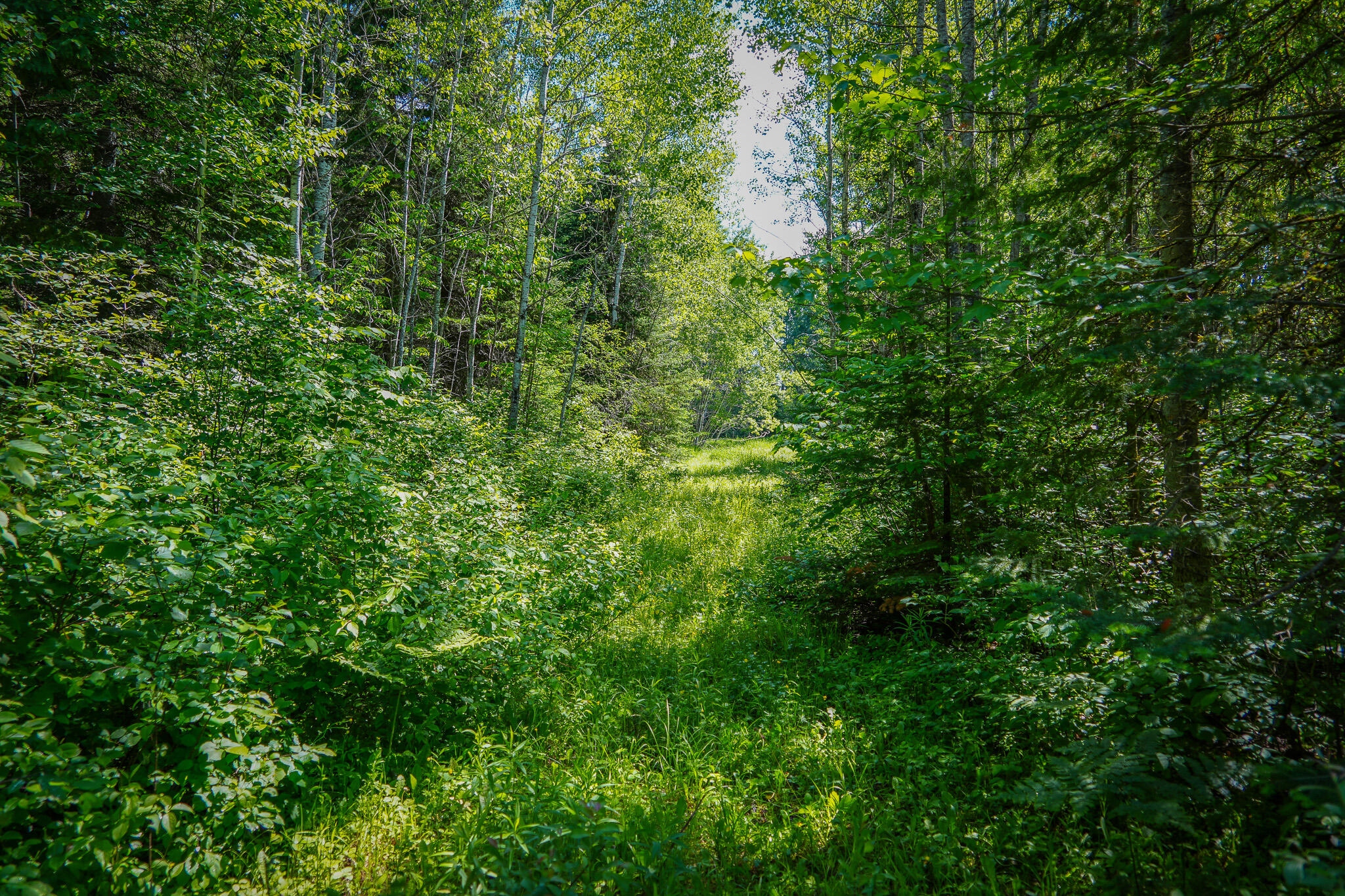 South North Hulbert Road Eckerman, MI 49728 - Photo 20 of 29 DSC00633