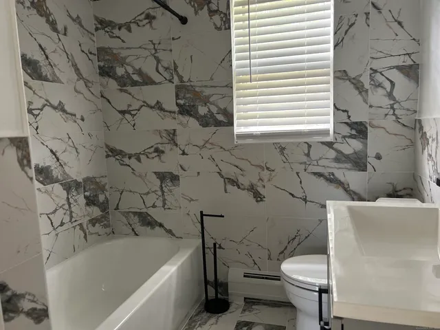 a bathroom with a toilet and a bathtub