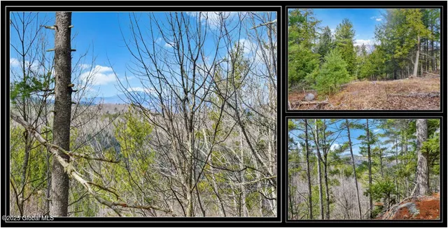 $142,500 | L18 Mountain Meadow Road, Adirondack, NY 12808