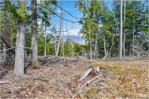 $142,500 | L18 Mountain Meadow Road, Adirondack, NY 12808