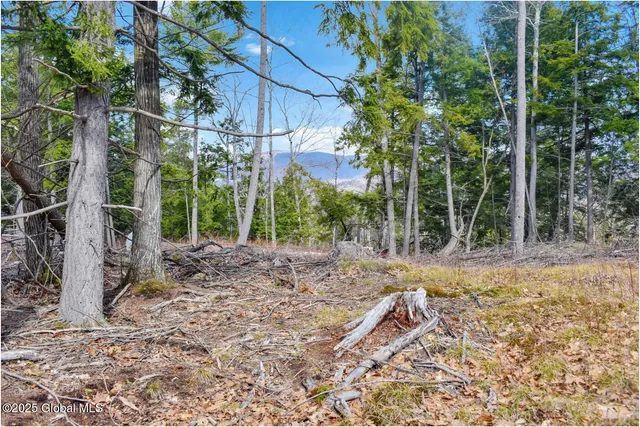 $142,500 | L18 Mountain Meadow Road, Adirondack, NY 12808