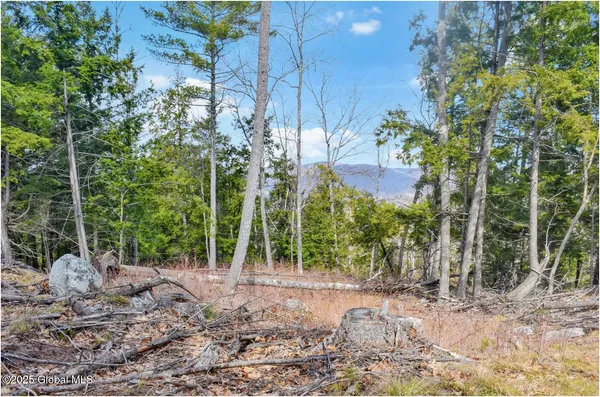 $142,500 | L18 Mountain Meadow Road, Adirondack, NY 12808
