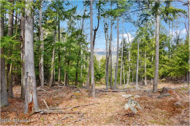 $142,500 | L18 Mountain Meadow Road, Adirondack, NY 12808