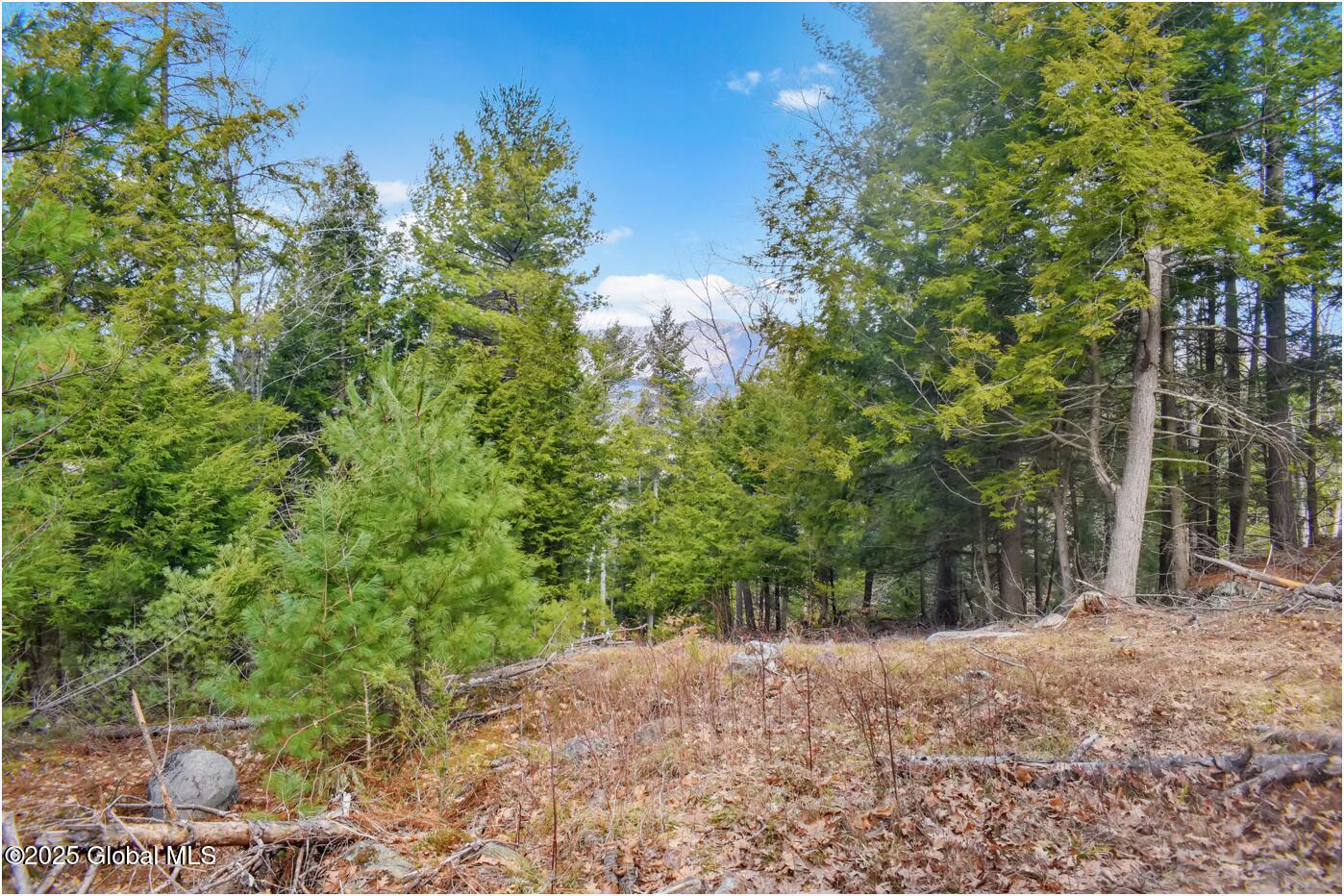 L18 Mountain Meadow Road Adirondack, NY 12808 - Photo 14 of 27 mm14