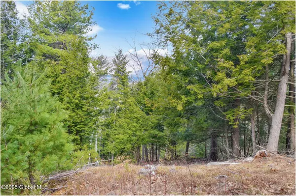 $142,500 | L18 Mountain Meadow Road, Adirondack, NY 12808