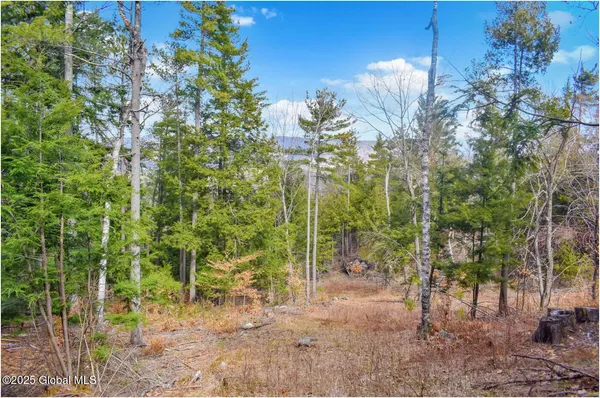 $142,500 | L18 Mountain Meadow Road, Adirondack, NY 12808