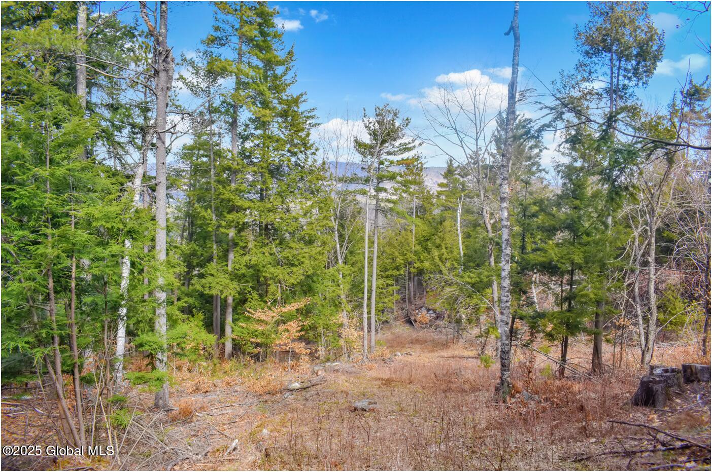 L18 Mountain Meadow Road Adirondack, NY 12808 - Photo 16 of 27 mm16