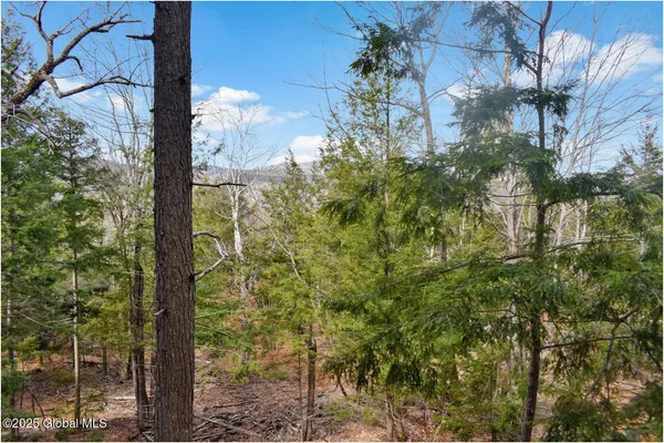 $142,500 | L18 Mountain Meadow Road, Adirondack, NY 12808