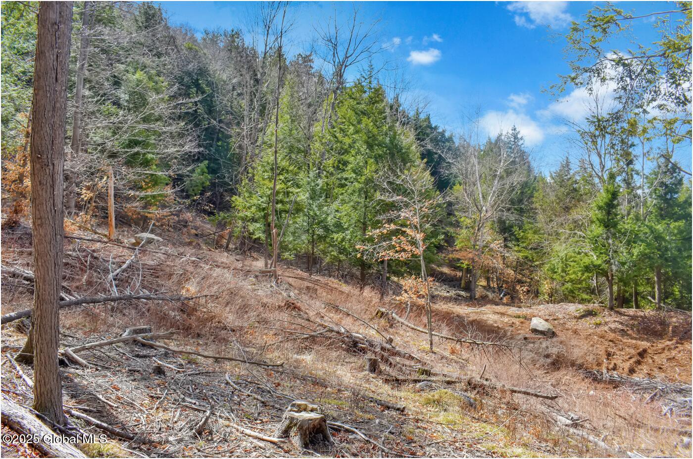 L18 Mountain Meadow Road Adirondack, NY 12808 - Photo 18 of 27 mm19