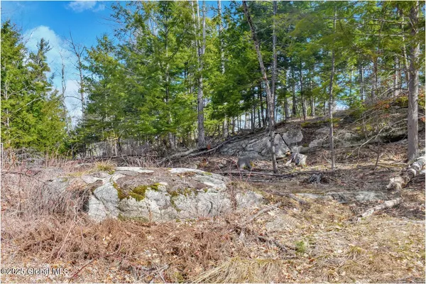 $142,500 | L18 Mountain Meadow Road, Adirondack, NY 12808