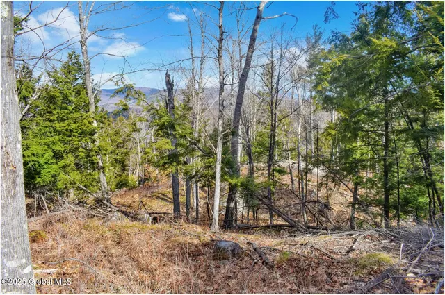 $142,500 | L18 Mountain Meadow Road, Adirondack, NY 12808