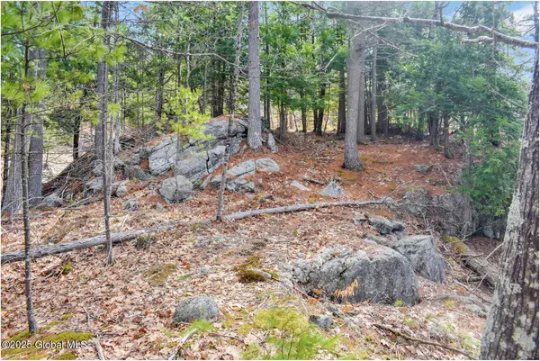 $142,500 | L18 Mountain Meadow Road, Adirondack, NY 12808